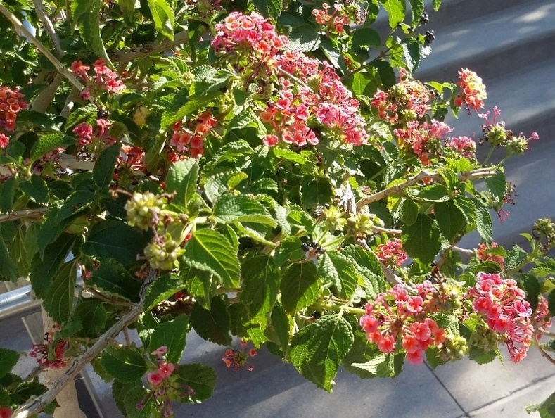 20150909_163250.jpg