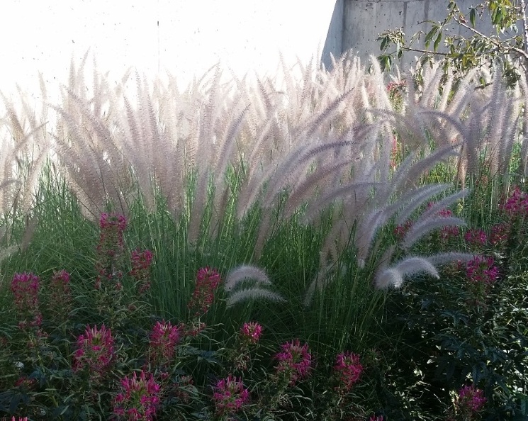 20150909_164502.jpg