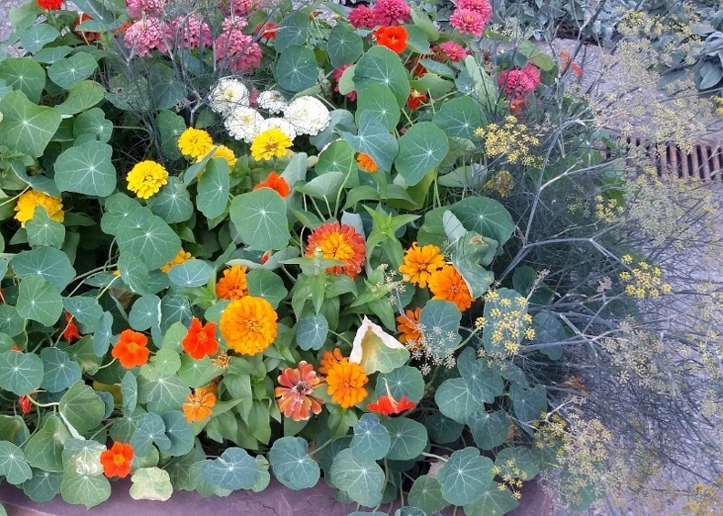 20150909_164529.jpg