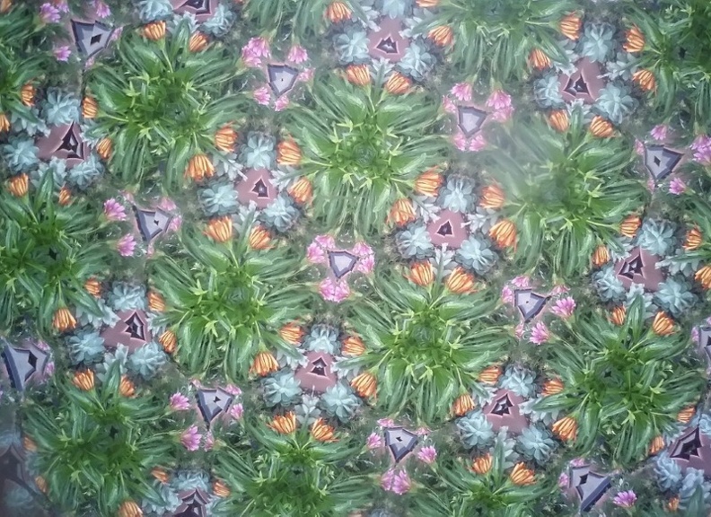 20150909_164854.jpg