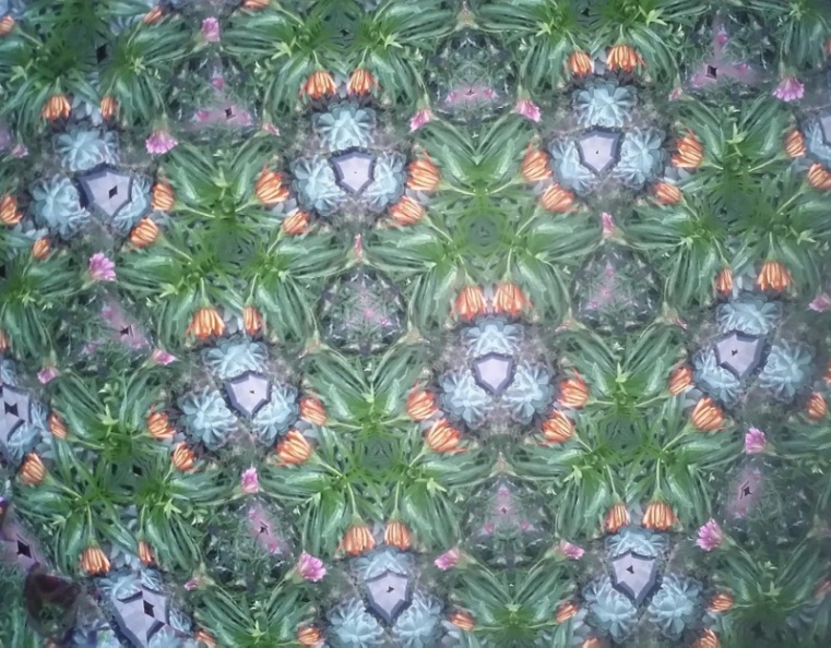 20150909_164935.jpg