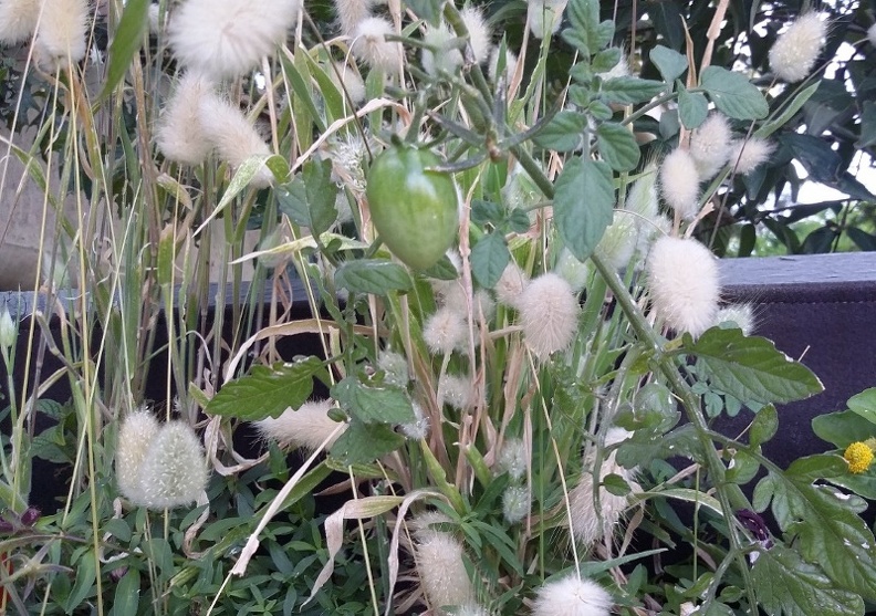 20150909_165036.jpg