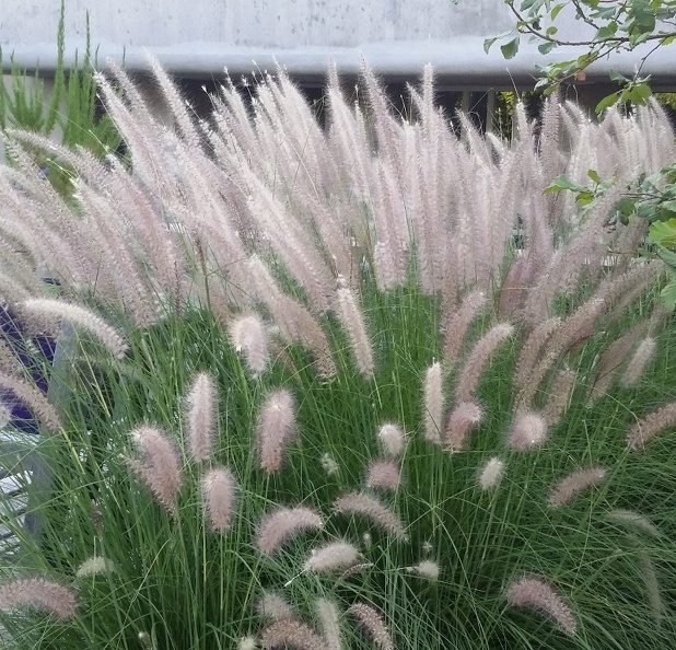20150909_165403.jpg