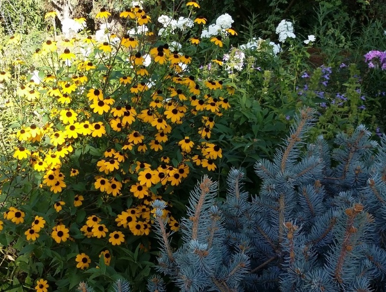20150909_165622.jpg