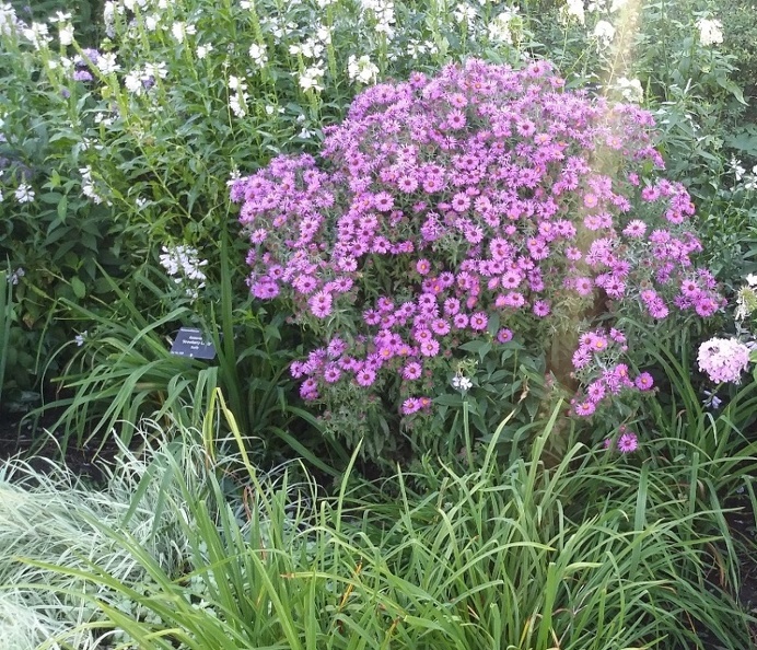 20150909_165718.jpg