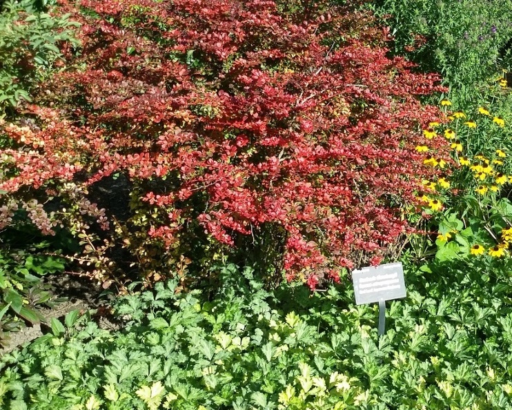 20150909_165817.jpg