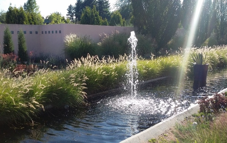 20150909_170019.jpg