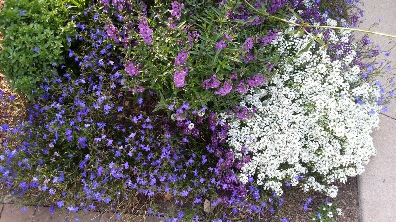 20150909_170401.jpg