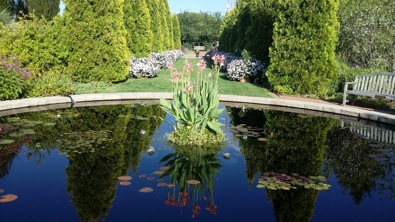 20150909_170656.jpg