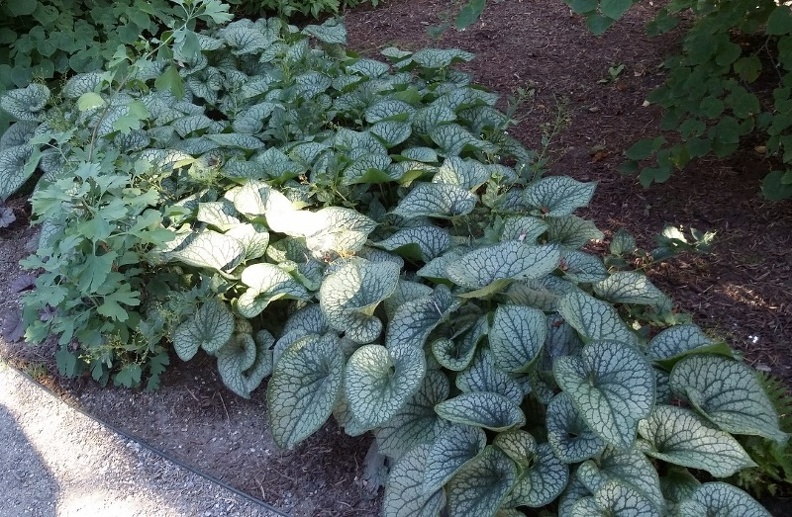 20150909_171105.jpg