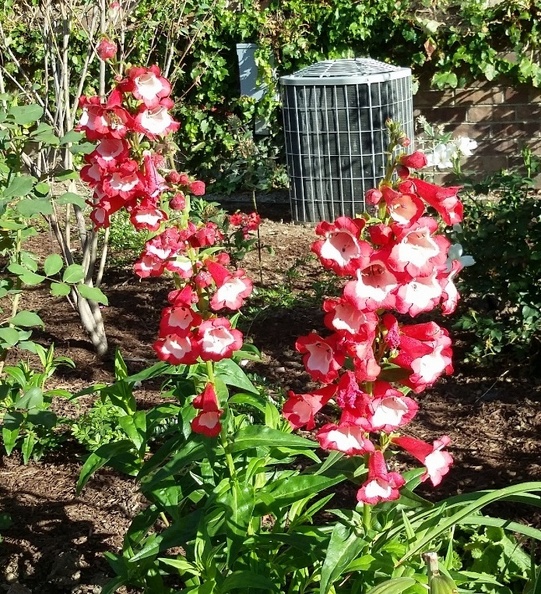 20150909_171320.jpg