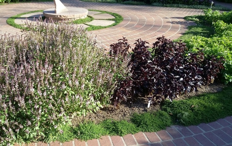 20150909_171832.jpg