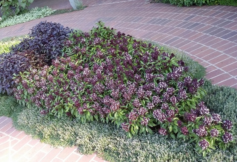 20150909_171900.jpg