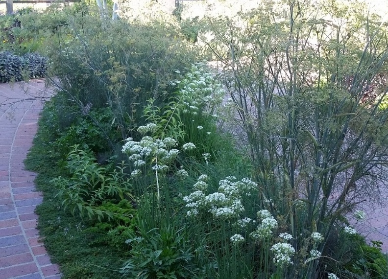 20150909_171923.jpg