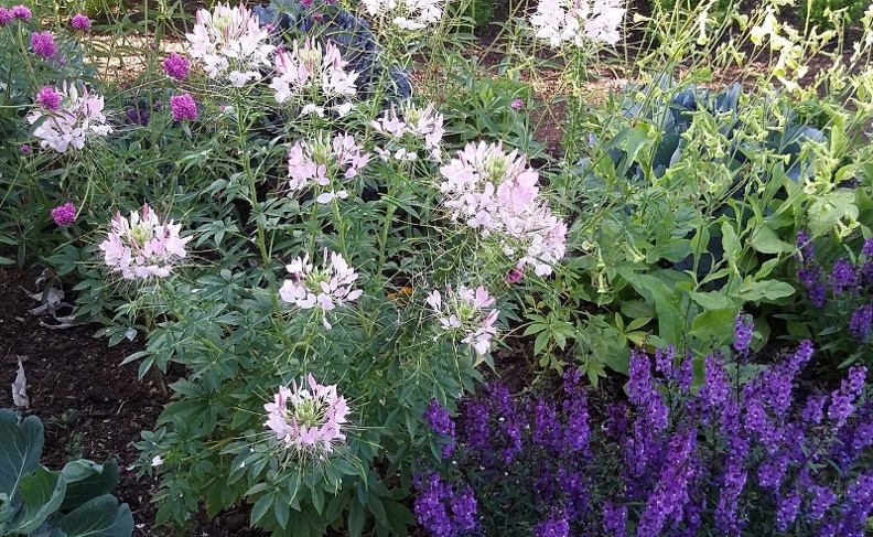 20150909_172104.jpg