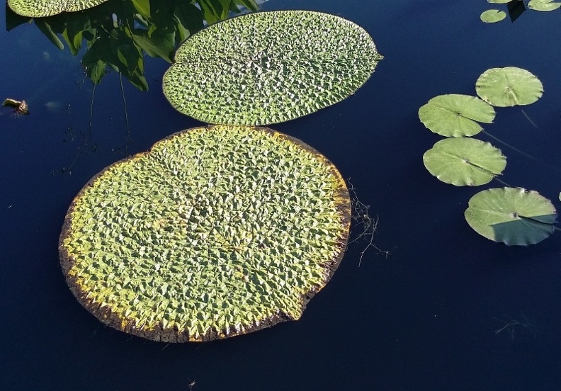20150909_172812.jpg