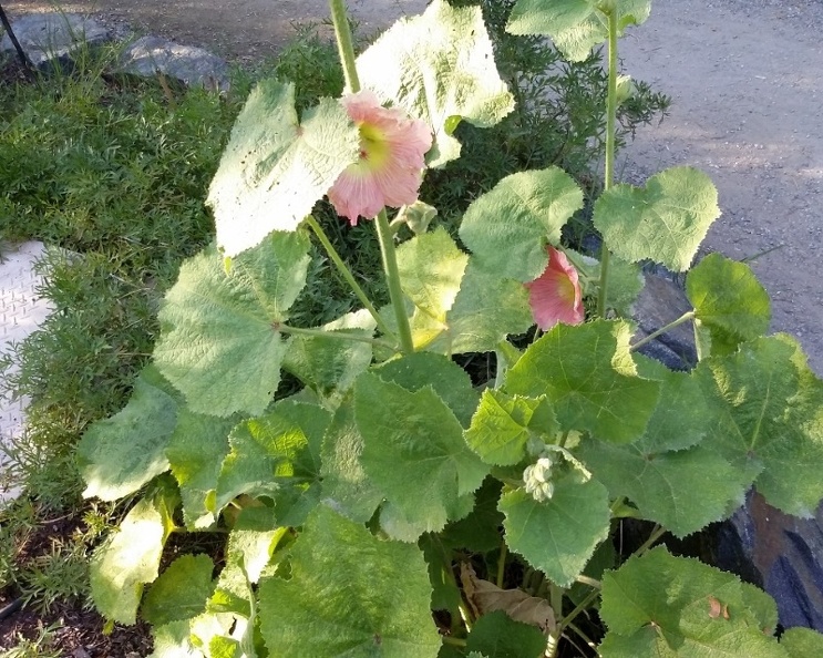 20150909_173417.jpg