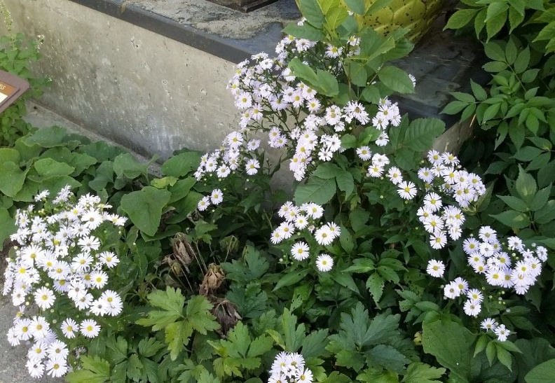 20150909_173530.jpg