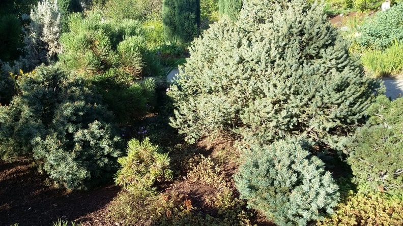 20150909_173607.jpg
