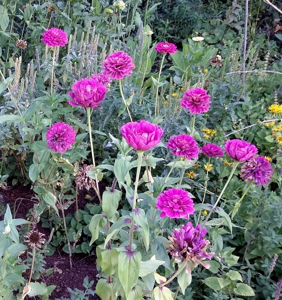 20150909_173759.jpg