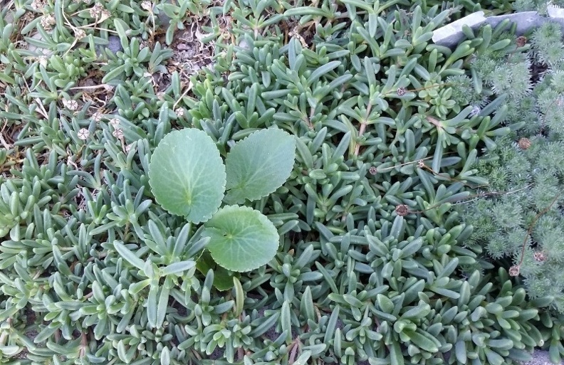 20150909_174049.jpg