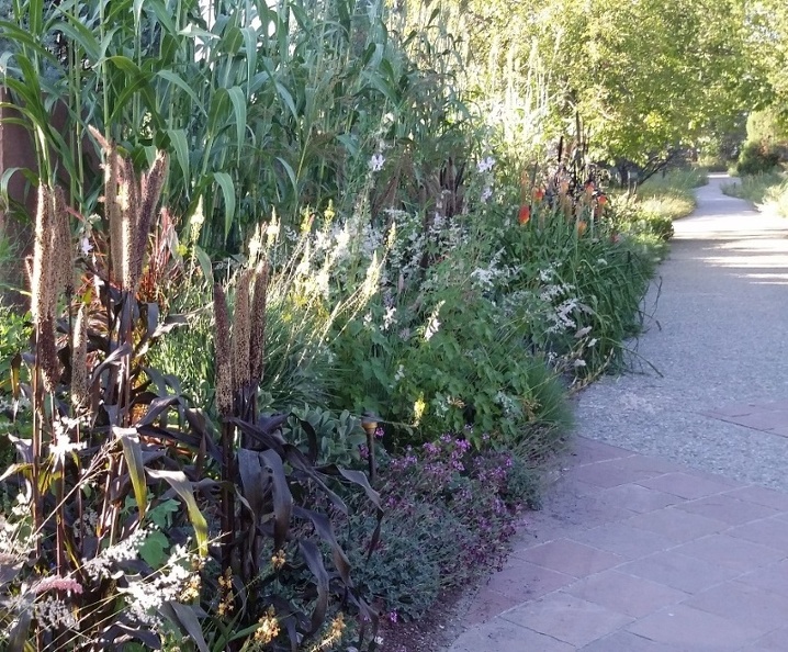20150909_174406.jpg