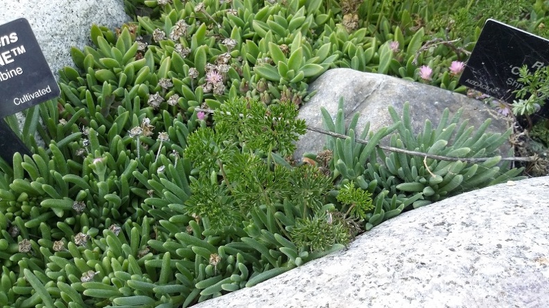 20150909_174518.jpg