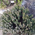 20150909_174810.jpg