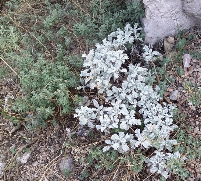 20150909_174817.jpg