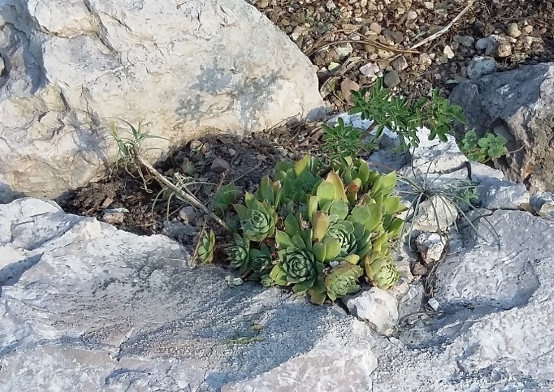 20150909_174907.jpg