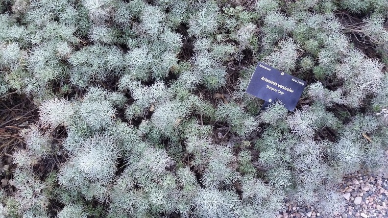 20150909_175029.jpg