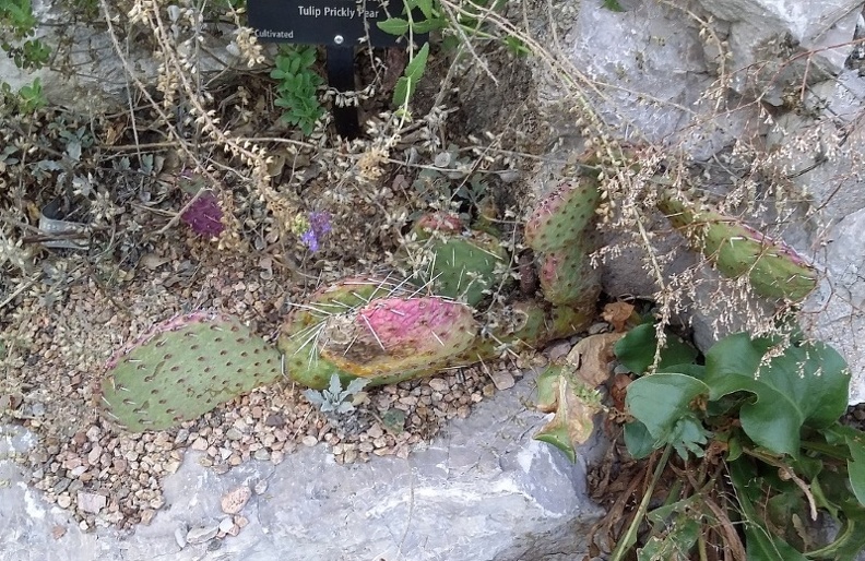 20150909_175039.jpg