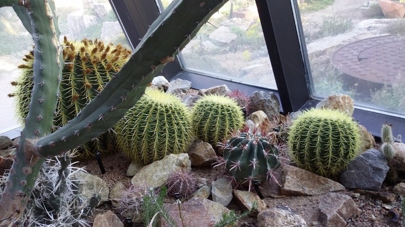 20150909_175613.jpg
