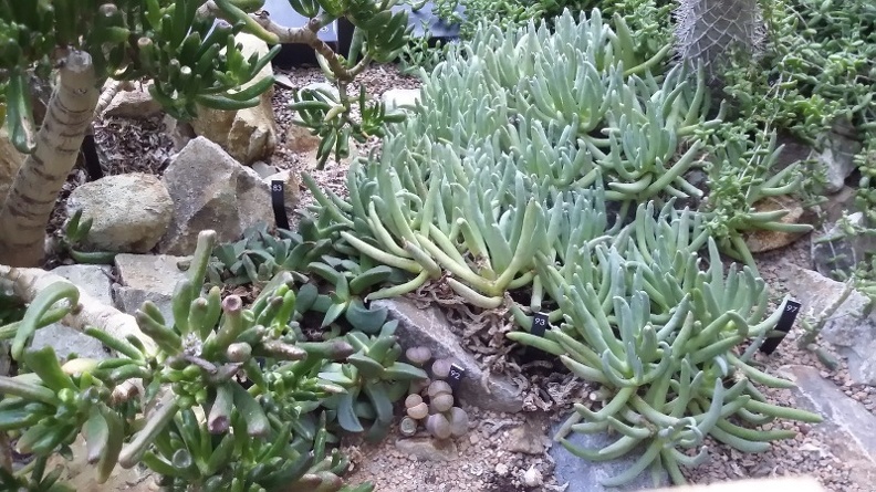 20150909_175752.jpg