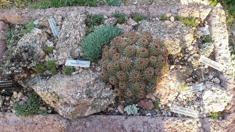 20150909_180153.jpg