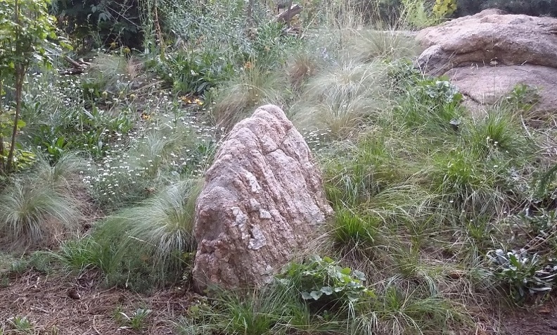20150909_180421.jpg