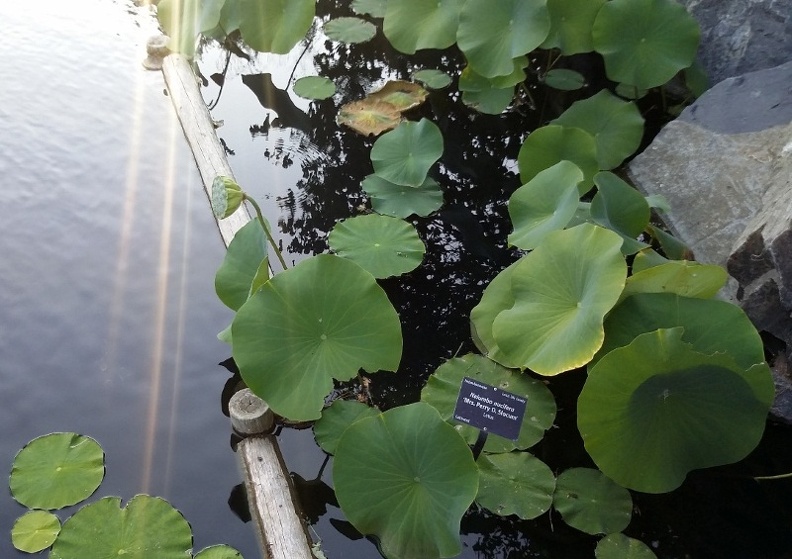20150909_180734.jpg