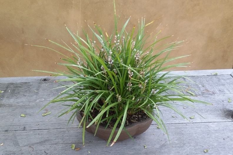 20150909_181003.jpg