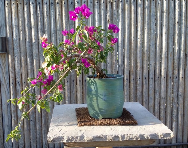 20150909_181019.jpg