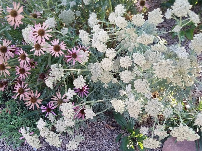20150909_181430.jpg