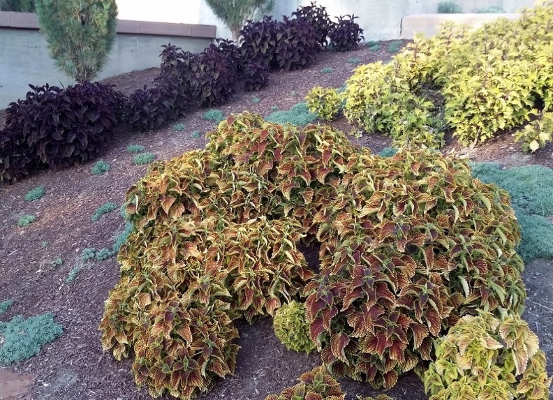 20150909_181621.jpg