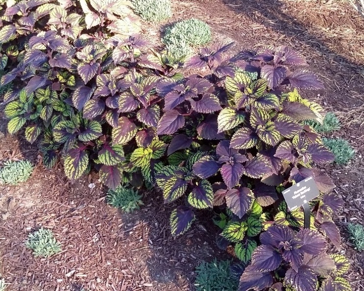 20150909_181643.jpg