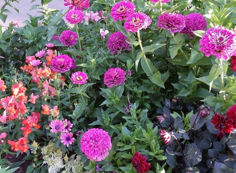 20150909_181858.jpg