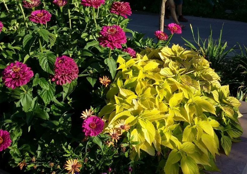 20150909_181932.jpg