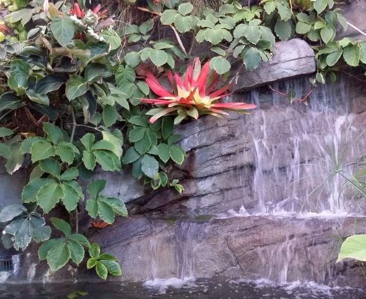 20150909_183224.jpg