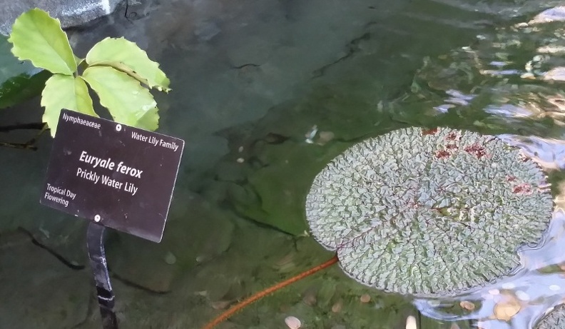 20150909_183239.jpg