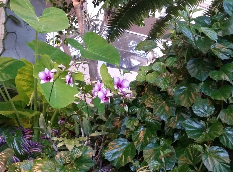 20150909_183409.jpg