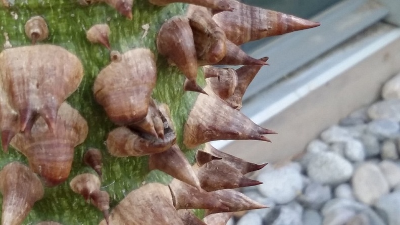 20150909_183510.jpg