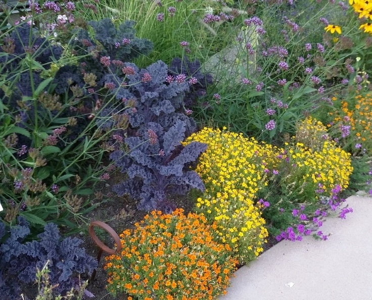 20150909_183547.jpg
