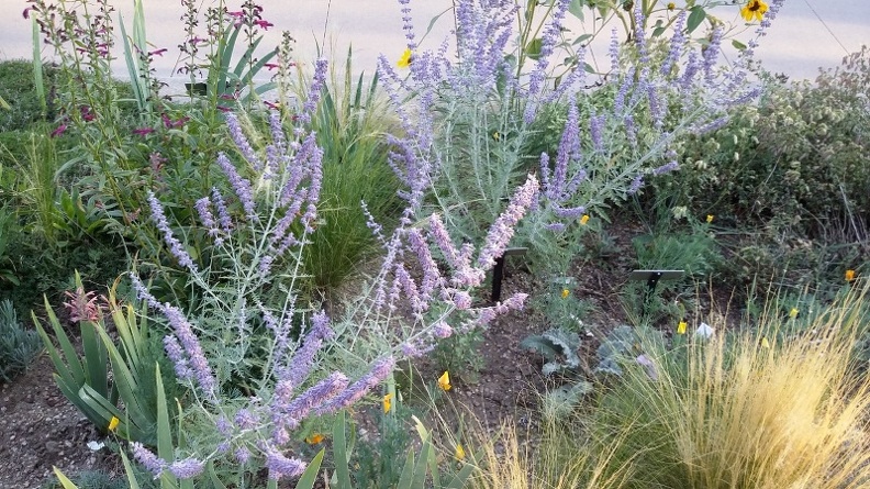 20150909_183916.jpg
